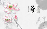荷花