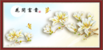 玉兰花