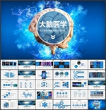 大脑医学PPT