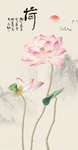 荷花韵