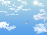 天空