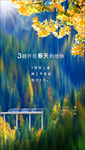 春分 花开 花 红叶 森林 树