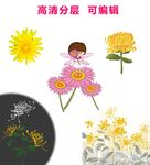 手绘实物菊花插画卡通