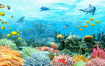 海底世界海豚珊瑚礁海族馆