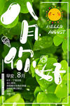 八月你好