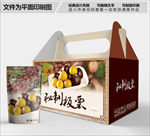 板栗包装箱包装礼盒设计