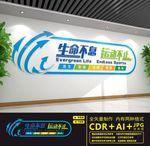 体育文化墙