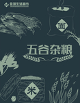 杂粮手绘