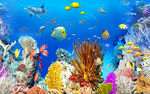海底世界3D背景墙