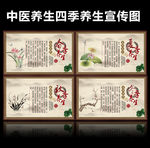 四季养生