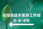 荷花海报