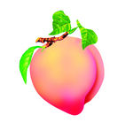 水蜜桃