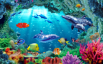 海洋生物