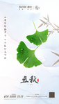 立秋 处暑