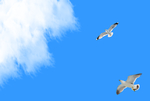 天空