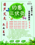 三伏灸