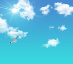 天空