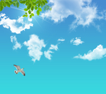 天空