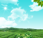 蓝天