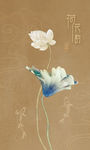 荷花玄关画