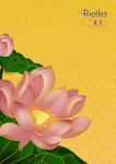 莲花