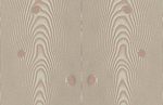 木纹