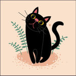 黑猫