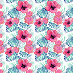 花 乱花 花朵 植物  叶子