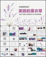 薰衣草PPT