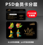 水果VIP卡
