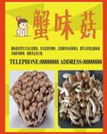 蟹味菇