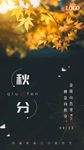 秋分