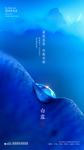 白露