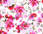 玫瑰花