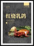 红烧乳鸽
