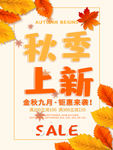 秋季上新 秋季新品