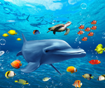 海底世界