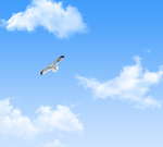 蓝天