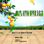 桔子 桔香四溢