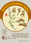 葫芦茶 虫草 手绘中药