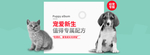 猫狗宠物全屏海报