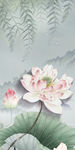荷花新玄关画 TIF分层画