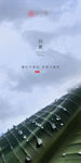 白露