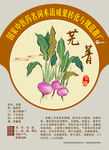 芜菁 中医药名词术语成果推广