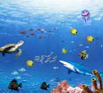 海底世界