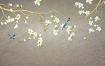 花鸟图