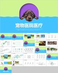宠物狗宠物医院宠物食品宠物看病