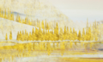 抽象油画