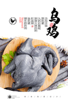 乌鸡