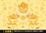 龙纹